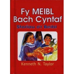 Fy Meibl Bach Cyntaf - Storiau o'r Beibl