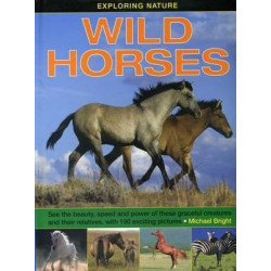 Exploring Nature: Wild Horses