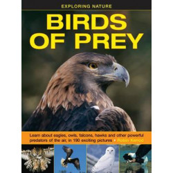 Exploring Nature: Birds of Prey