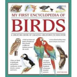 My First Encylopedia of Birds (Giant Size)