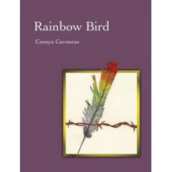 Rainbow Bird