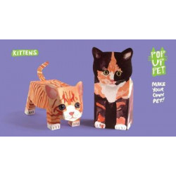 Pop Up Pet Kittens