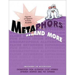 Metaphors and More