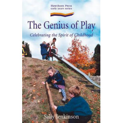 Genius of Play, The