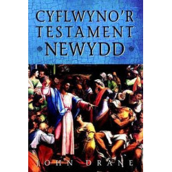 Cyflwyno'r Testament Newydd