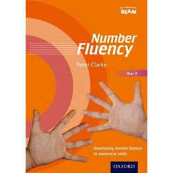 Number Fluency Year 2 Developing mental fluency in numerical skills