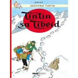 Tintin: Tintin Sa Tibeid (Irish)
