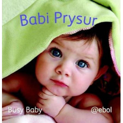 Fy Llyfr Lluniau Defnydd Meddal/My Photo Soft Cloth Book: 2. Babi Prysur/Busy Baby