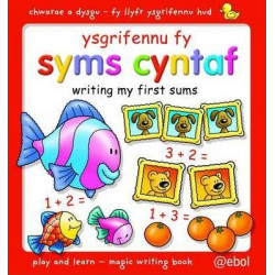 Fy Llyfr Ysgrifennu Hud/My Magic Writing Book: Ysgrifennu fy Syms Cyntaf/Writing My First Sums