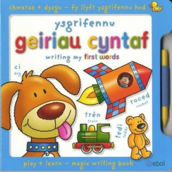 Fy Llyfr Ysgrifennu Hud/My Magic Writing Book: Ysgrifennu Geiriau Cyntaf/Writing My First Words