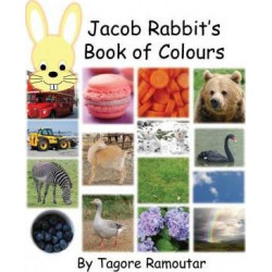 Jacob Rabbit's Book of Colour