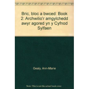Archwilio'r Amgylchedd Awyr Agored yn y Cyfnod Sylfaen - Cyfres 2: Bric, Bloc a Bwced
