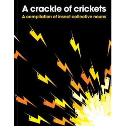 A Crackle of Crickets