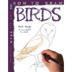 How To Draw Birds