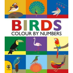 Birds (Colour by Numbers)