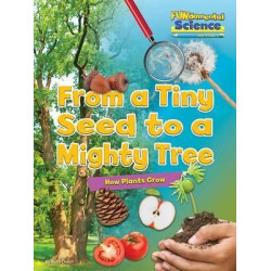 Fundamental Science Key Stage 1: From a Tiny Seed to a Mighty Tree: How Plants Grow 2016