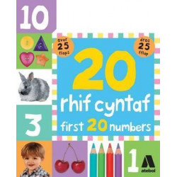 20 Rhif Cyntaf / First 20 Numbers