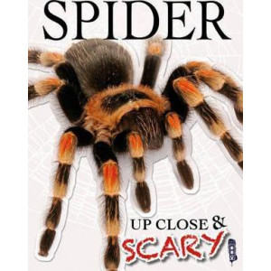 Up Close & Scary Spider