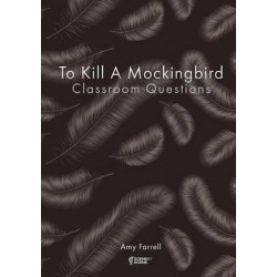 To Kill a Mockingbird Classroom Questions