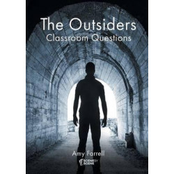 The Outsiders Classroom Questions