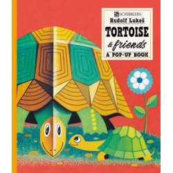 Tortoise And Friends