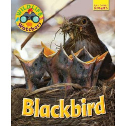 Wildlife Watchers: Blackbird 2017