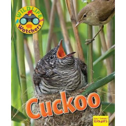 Wildlife Watchers: Cuckoo 2017