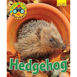 Wildlife Watchers: Hedgehog 2017