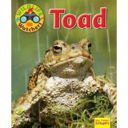 Wildlife Watchers: Toad 2017