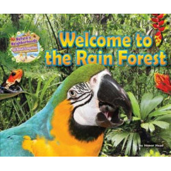 Welcome to the Rain Forest