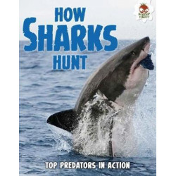 Shark! How Sharks Hunt