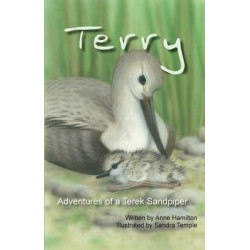Terry Adventures of a Terek Sandpiper