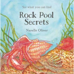 Rock Pool Secrets