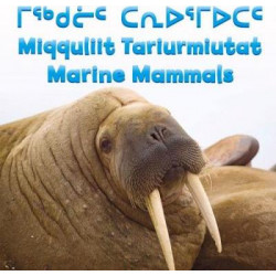 Marine Mammals (English/Inuktitut)