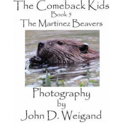 The Comeback Kids, Book 5, The Martinez Beavers