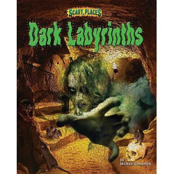 Dark Labyrinths