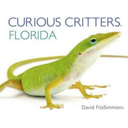 Curious Critters Florida