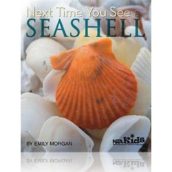 Next Time You See a Seashell