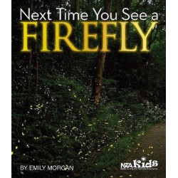 Next Time You See a Firefly