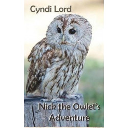 Nick the Owlet's Adventure