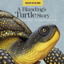A Blanding's Turtle Story