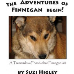 The Adventures of Finnegan Begin!