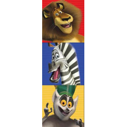 Madagascar Awesome Animals (Boxy Book Set)