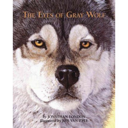The Eyes of Gray Wolf