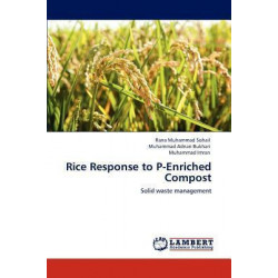 Rice Response to P-Enriched Compost