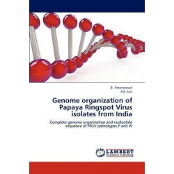 Genome Organization of Papaya Ringspot Virus Isolates from India
