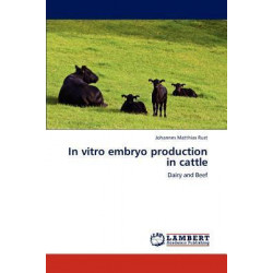 In Vitro Embryo Production in Cattle