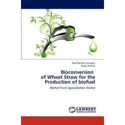 Bioconversion of Wheat Straw for the Production of Biofuel