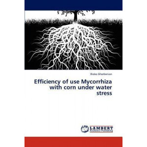 Efficiency of Use Mycorrhiza with Corn Under Water Stress
