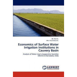 Economics of Surface Water Irrigation Institutions in Cauvery Basin
